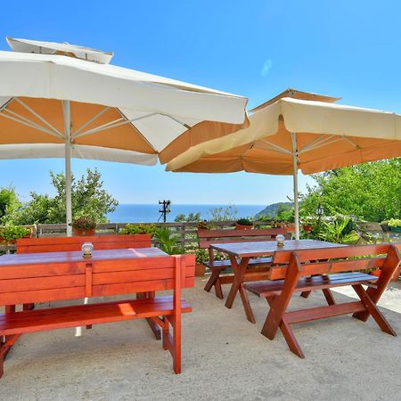 Pataki Studios Petrovac Exterior foto