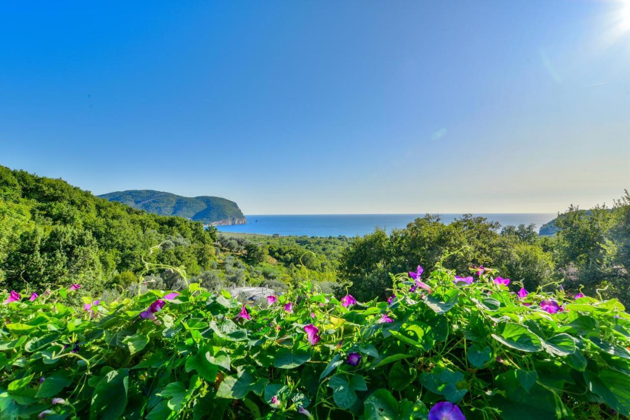 Pataki Studios Petrovac Exterior foto