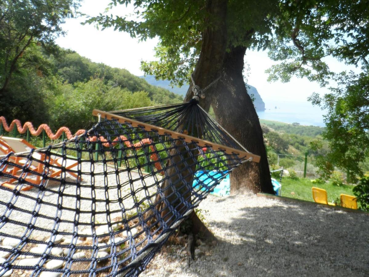 Pataki Studios Petrovac Exterior foto